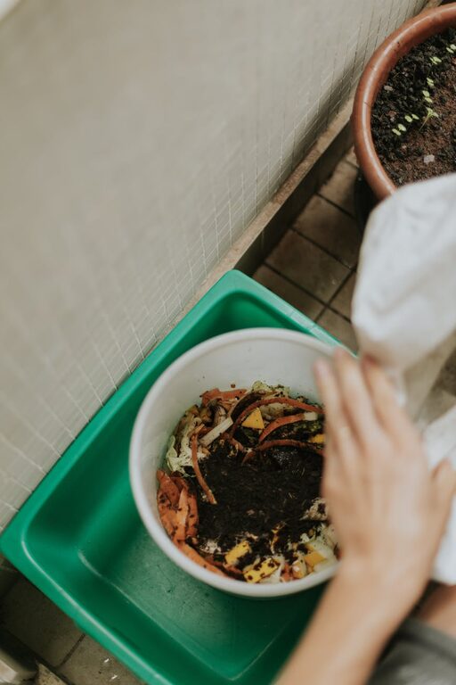 Beginner Tips for Composting at Home: Start Your Eco-Friendly Journey